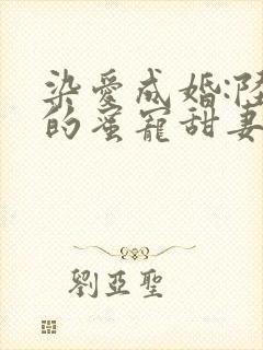 染爱成婚:陆少的蜜宠甜妻