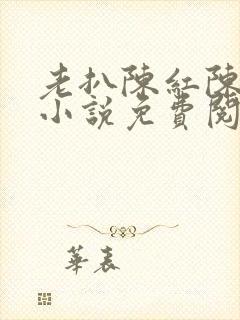老扒陈红陈法蓉小说免费阅读封面