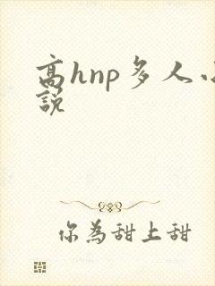 高hnp多人小说
