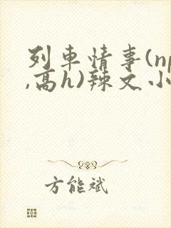 列车情事(np,高h)辣文小