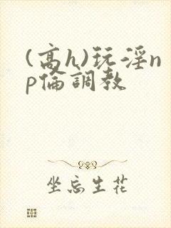 (高h)玩淫np伦调教