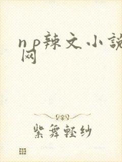 n p辣文小说网