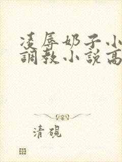 凌辱奶子小说上调教小说高h