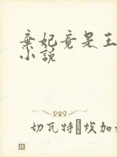 弃妃竟是王炸 小说