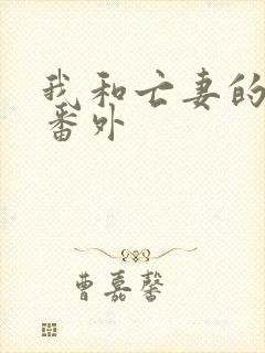 我和亡妻的秘密番外