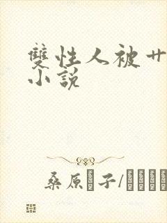 双性人被艹破处小说