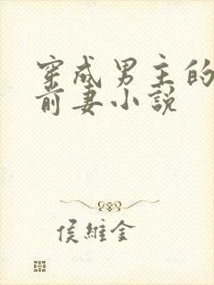 穿成男主的炮灰前妻小说