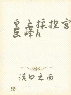 皇上揉捏宫女的巨峰h