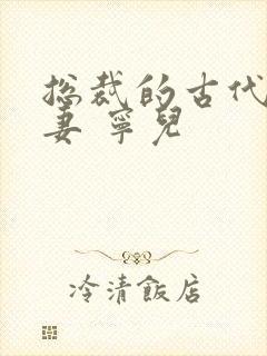 总裁的古代小娇妻 宁儿封面