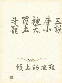 斗罗被唐三哥哥宠上天小说