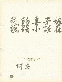 我的妻子婉清和魏强小说在线阅读