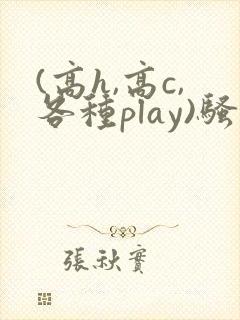 (高h,高c,各种play)骚话小说