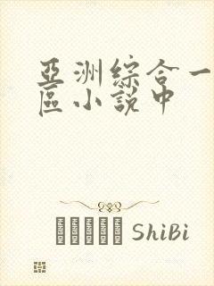 亚洲综合一区二区小说中