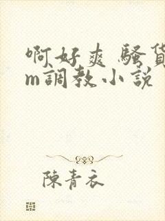 啊好爽 骚货sm调教小说