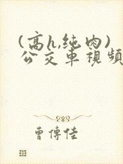 (高h,纯肉)公交车视频封面