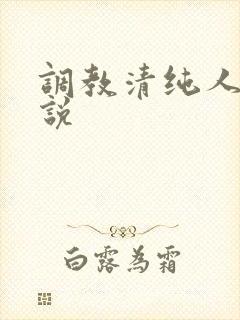 调教清纯人妻小说封面