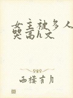 女主被多人伦到哭高h文封面