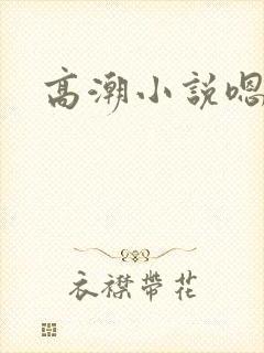 高潮小说嗯嗯嗯