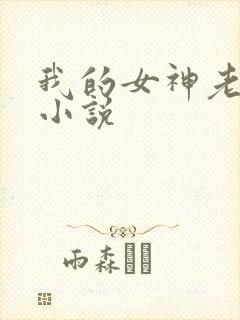 我的女神老婆 小说