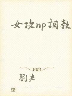 女攻np调教文