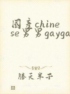 国产chinese男男gaygay在线播放网站