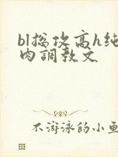 bl总攻高h纯肉调教文