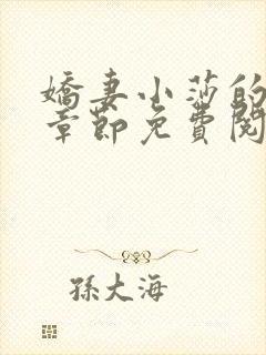 娇妻小莎的最新章节免费阅读全文小