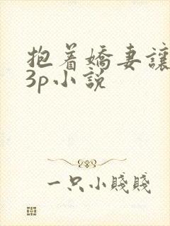 抱着娇妻让人玩3p小说封面