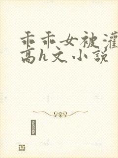 乖乖女被灌满精高h文小说封面