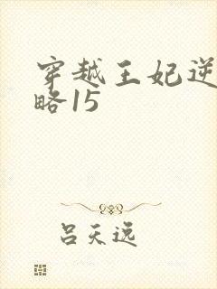 穿越王妃逆袭攻略15