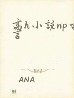 高h小说np古言