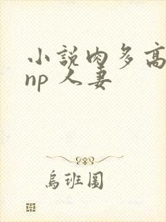 小说肉多高h np 人妻封面