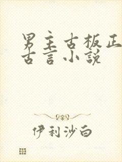 男主古板正经的古言小说封面