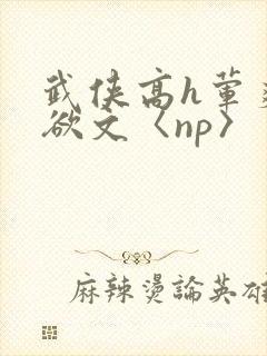 武侠高h荤爽肉欲文〈np〉