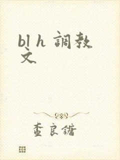 bl h 调教文