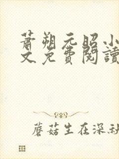 萧朔元昭小说全文免费阅读