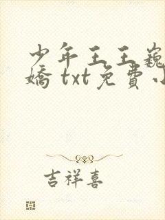 少年王王巍李娇娇 txt免费小说
