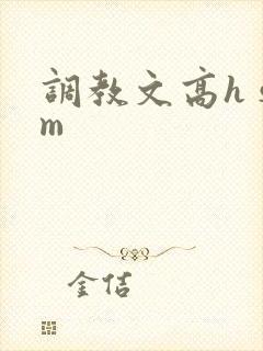 调教文高h sm