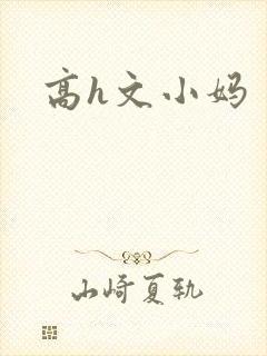 高h文小妈