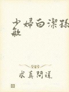 少妇白洁孙倩赵敏