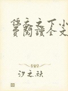 锦衣之下小说免费阅读全文无删减