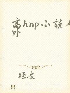 高hnp小说人外