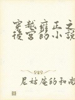 穿越雍正之极品后宫的小说