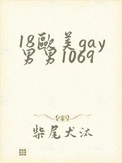 18欧美gay男男1069封面