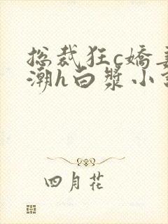 总裁狂c娇妻高潮h白浆小说