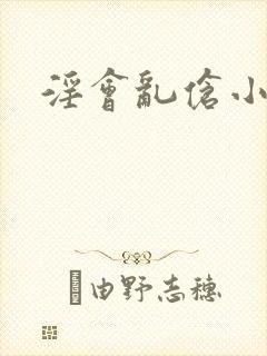 淫会乱伧小说封面