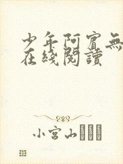 少年阿宾无删减在线阅读封面
