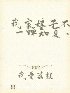 我家娘子不对劲 一蝉知夏 小说封面