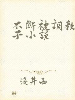 不断被调教的妻子小说封面