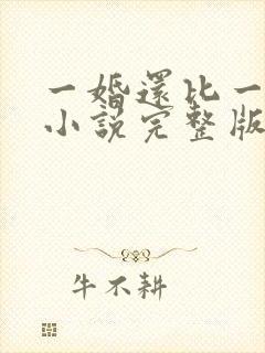 一婚还比一婚高小说完整版
